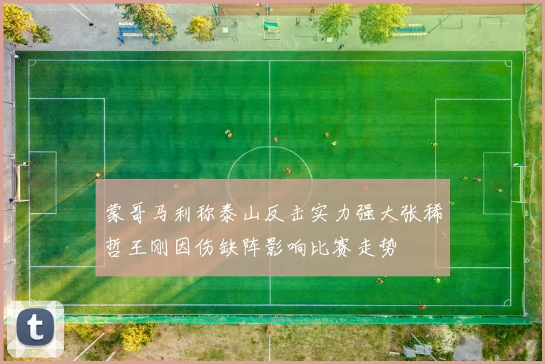 蒙哥马利称泰山反击实力强大张稀哲王刚因伤缺阵影响比赛走势
