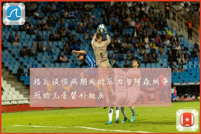 格瓦谈伤病期间的压力与阿森纳争冠的无奈替补经历